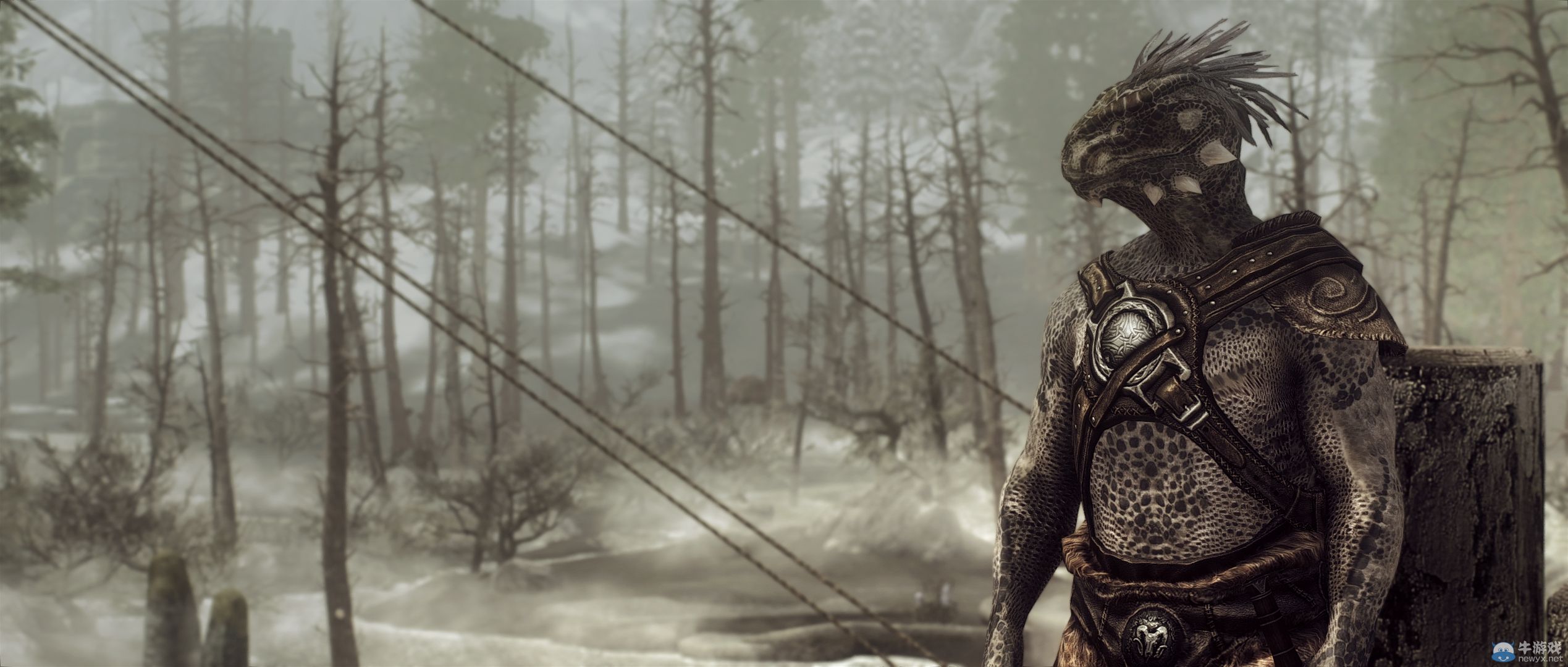 《上古卷軸5：天際》最新藝術截圖：嗜血天使生人勿近！