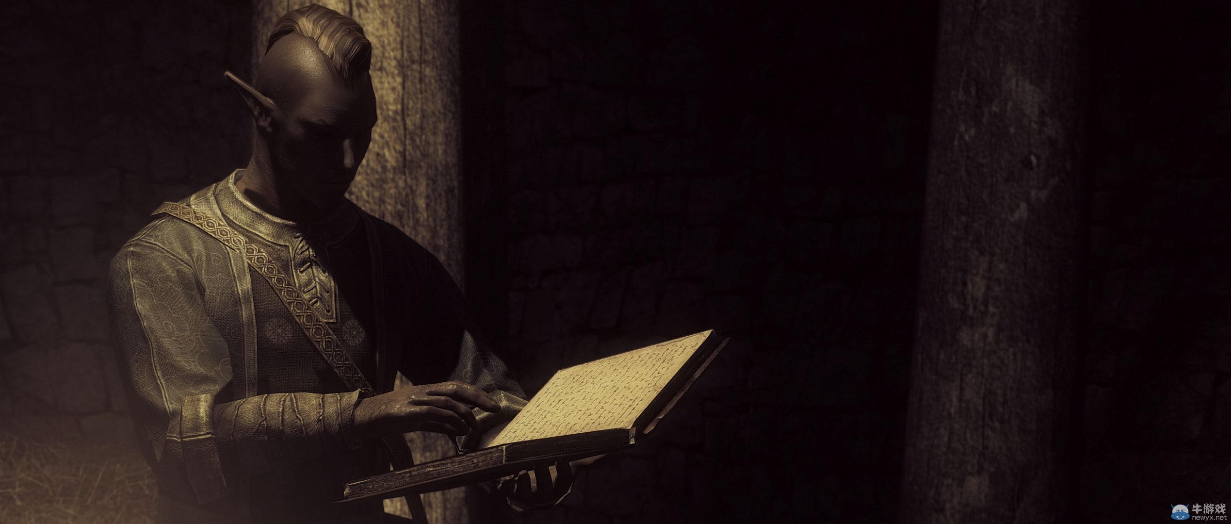 《上古卷軸5：天際》最新藝術截圖：嗜血天使生人勿近！