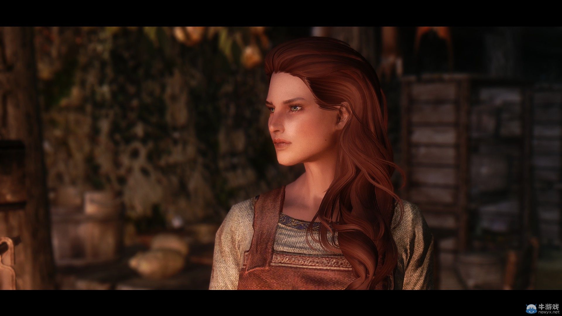 《上古卷軸5：天際》最新NPC整容MOD：我老婆是大美女系列