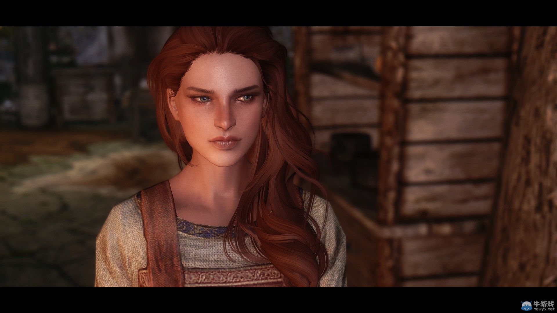 《上古卷軸5：天際》最新NPC整容MOD：我老婆是大美女系列