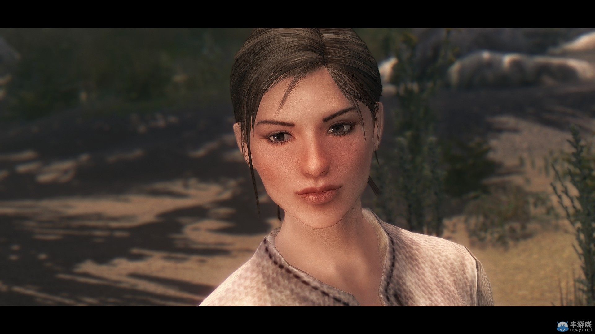 《上古卷軸5：天際》最新NPC整容MOD：我老婆是大美女系列