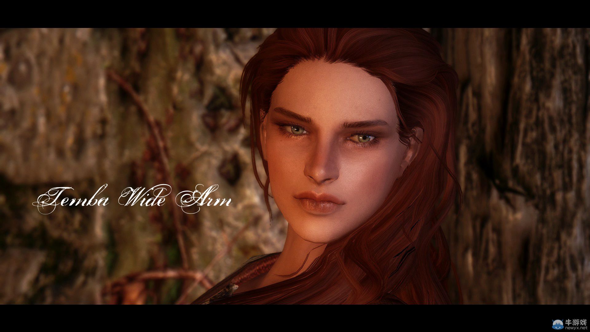 《上古卷軸5：天際》最新NPC整容MOD：我老婆是大美女系列