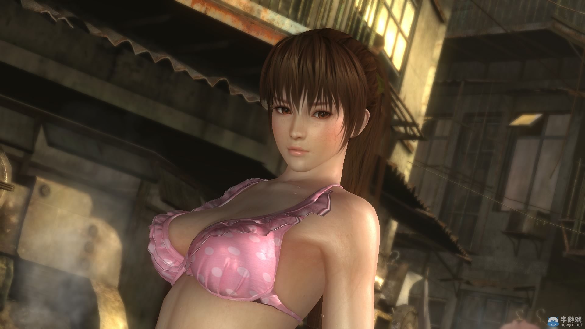 《死或生5：最后一戰(zhàn)》PC配置需求：不支持乳搖柔軟引擎