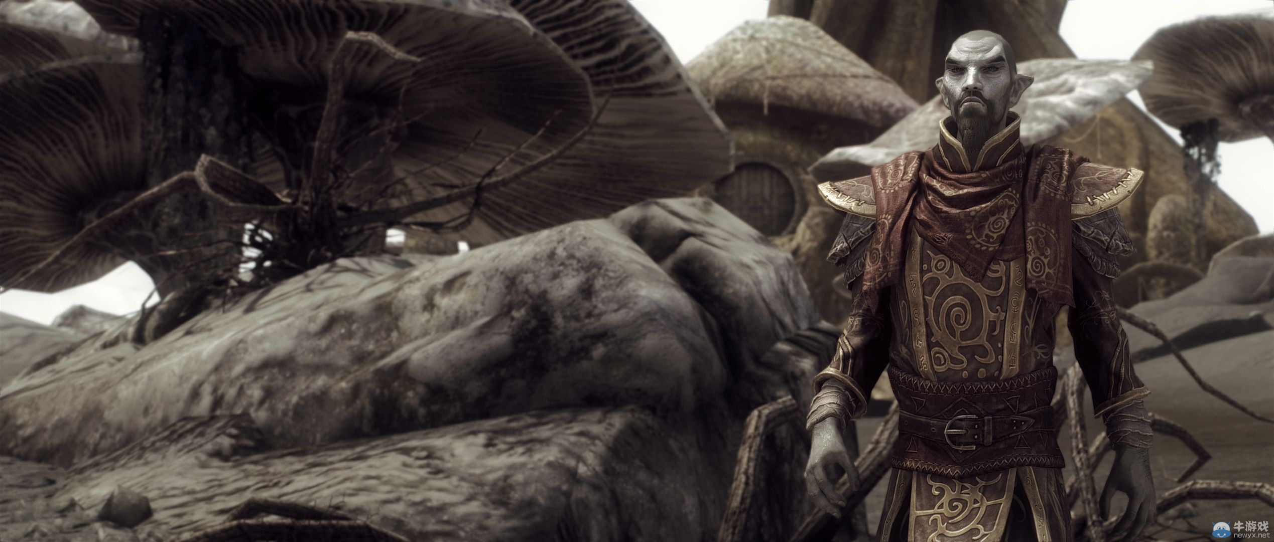 《上古卷軸5：天際》最新藝術截圖：柔美稚嫩絕色佳人