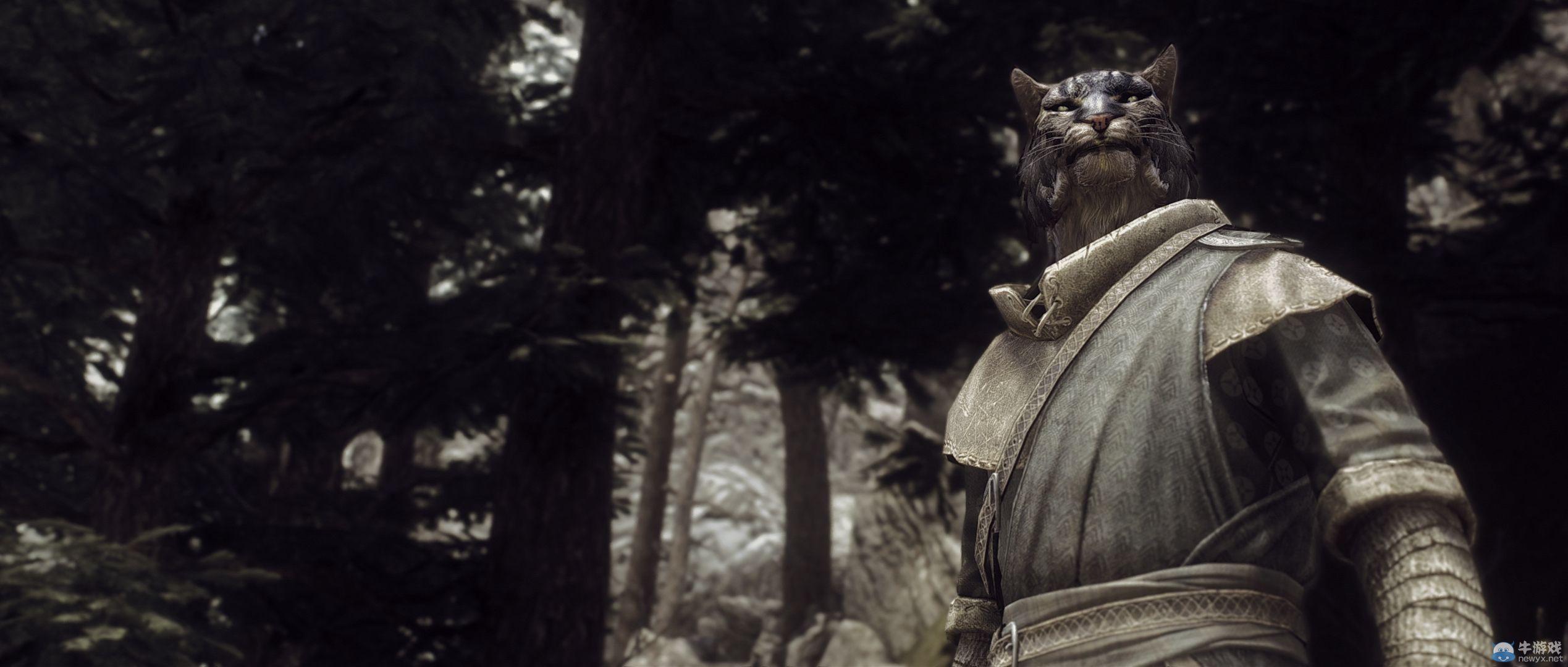 《上古卷軸5：天際》最新藝術截圖：柔美稚嫩絕色佳人