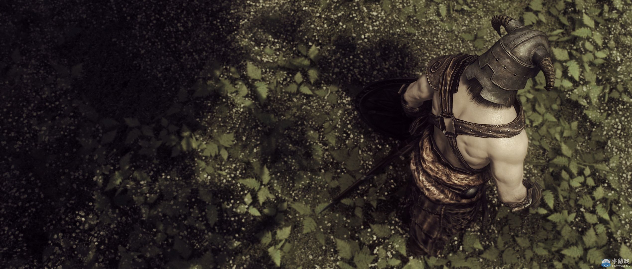 《上古卷軸5：天際》最新藝術截圖：柔美稚嫩絕色佳人