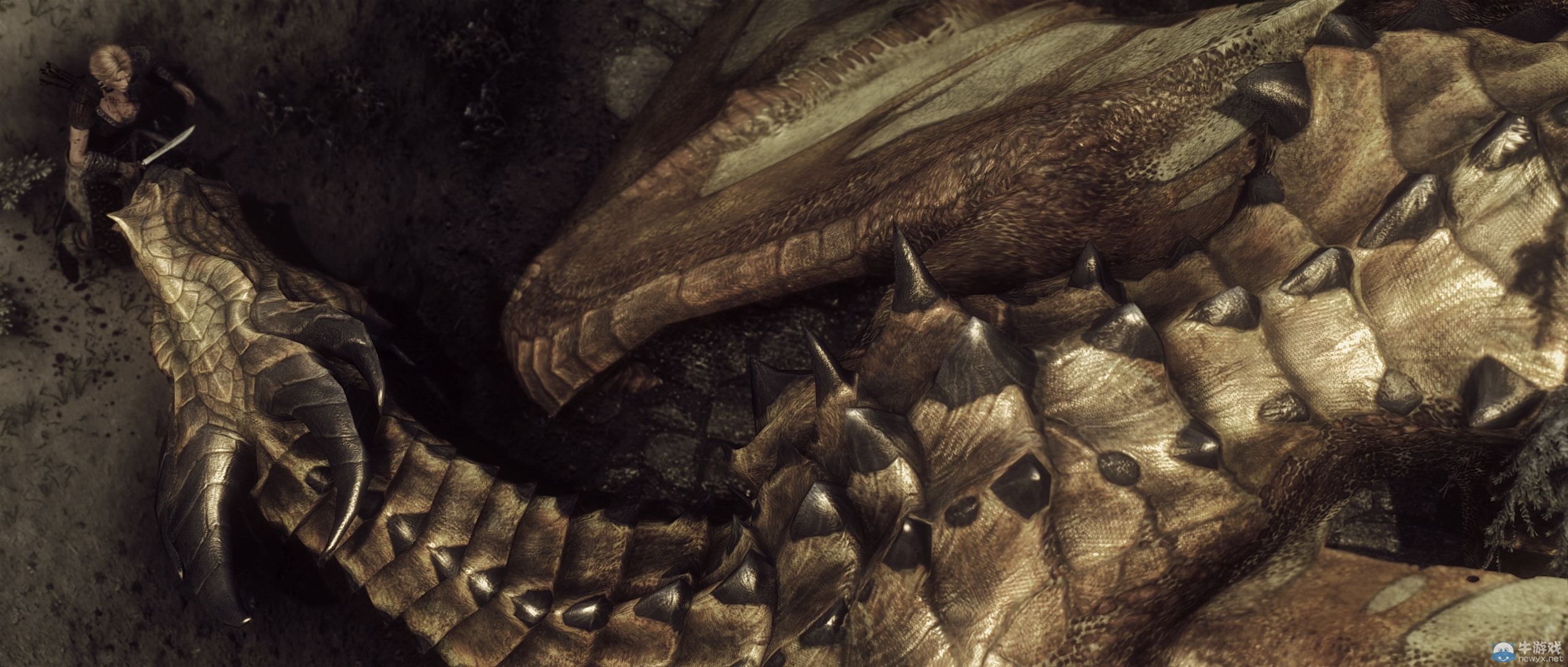 《上古卷軸5：天際》最新藝術截圖：柔美稚嫩絕色佳人