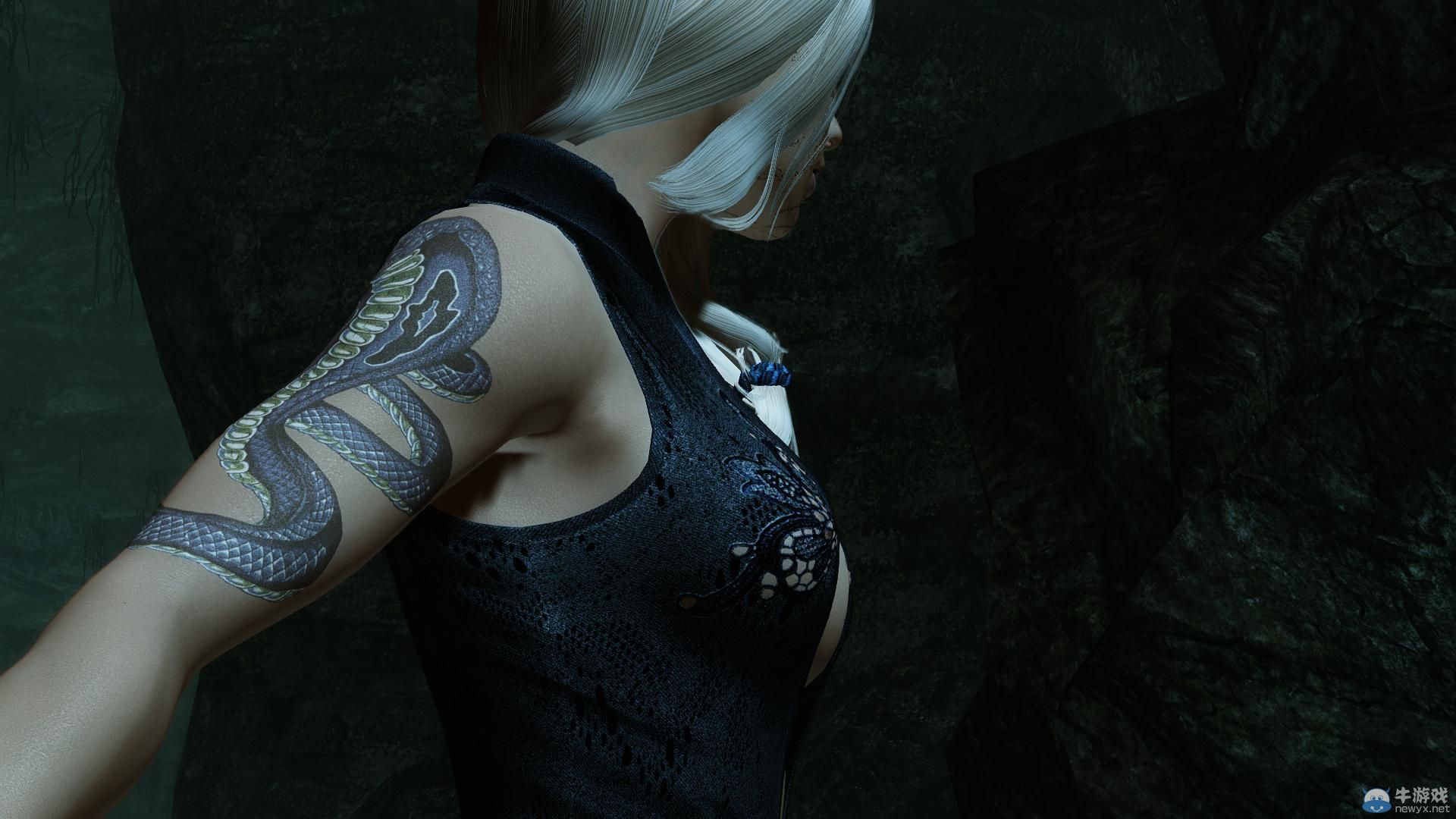 《上古卷軸5：天際》最美女體MOD新圖：蕾絲面具掩藏嬌羞面容