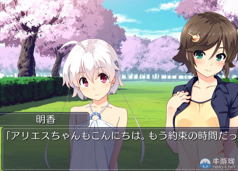 《向日葵：天空鵝卵石》樂天透露具體發售日期