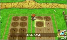 《波波羅牧場物語》特典公開：王子伴你走天下