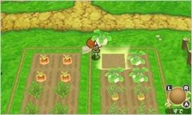 《波波羅牧場物語》特典公開：王子伴你走天下