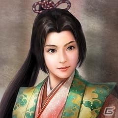 天下布武的野貓《信長之野望14》的特殊項目
