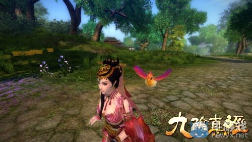 世界上最萌的鳥 九陰真經靈寵赤炎鳥原型現身