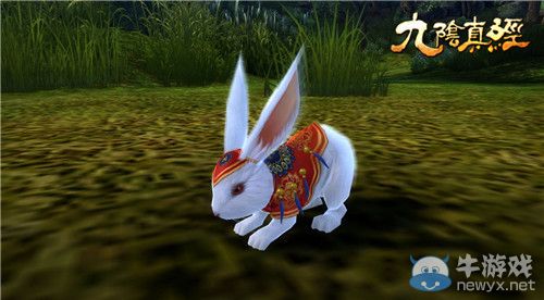 江湖小玩伴 《九陰真經(jīng)》靈寵的前世今生