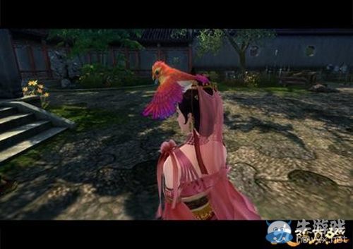 世界上最萌的鳥 九陰真經靈寵赤炎鳥原型現身