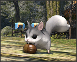 《最終幻想14》GM陪你玩 一起尋寶大探險(xiǎn)！