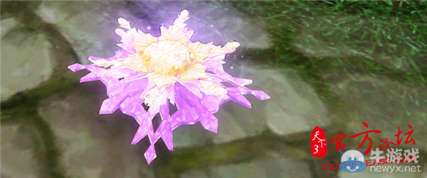 《天下3》雪花兒小寵搶先看 夢(mèng)幻雪花伴你行