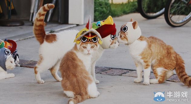 《貓貓村DX》Web CM公開：真貓出演萌翻全場(chǎng)