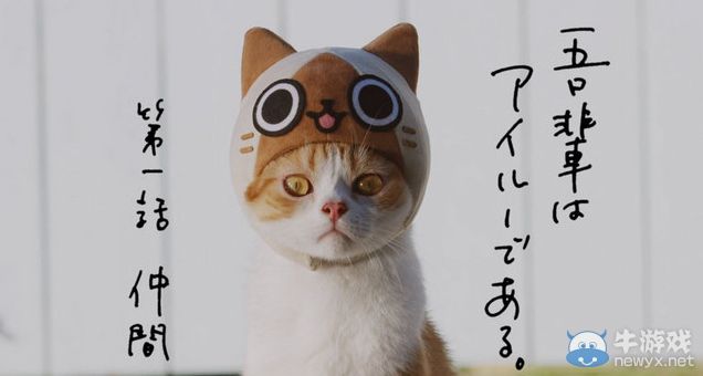 《貓貓村DX》Web CM公開：真貓出演萌翻全場(chǎng)