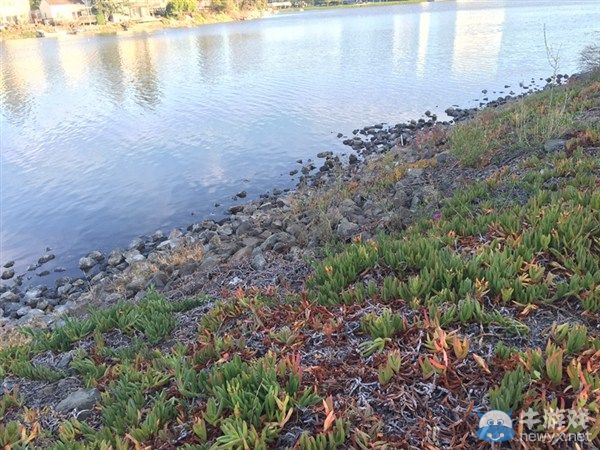 劍網3國際化研發團隊 北美研發中心探班