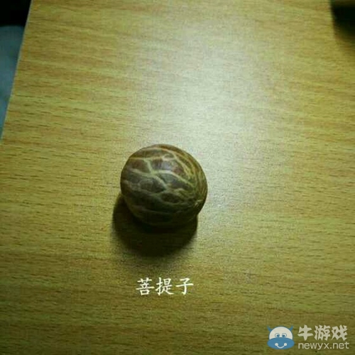 玲瓏骰子安紅豆 九陰真經(jīng)玲瓏骰手工