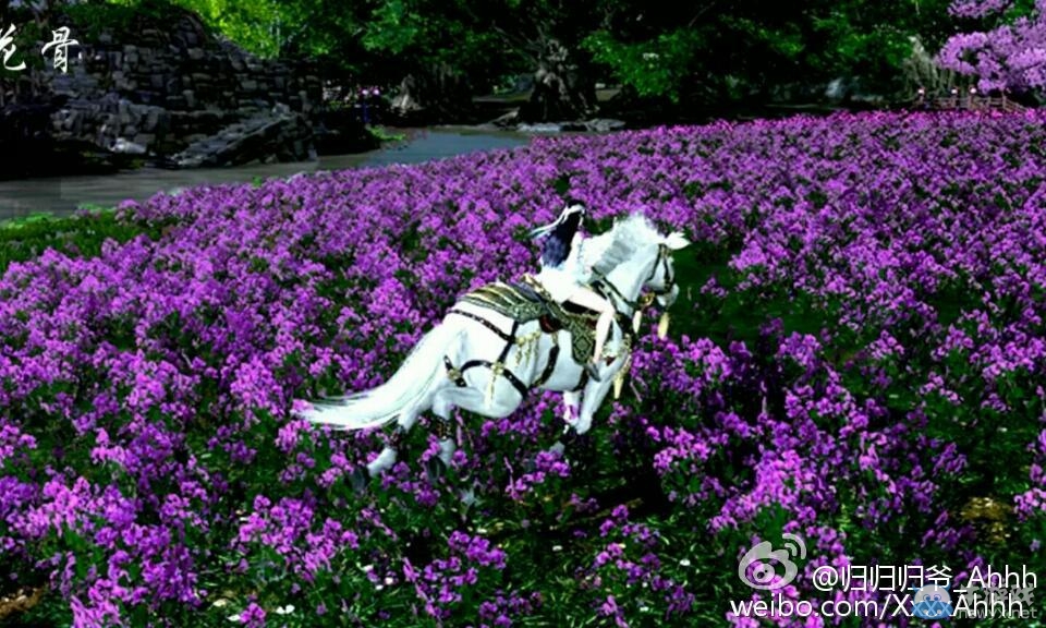 微博達人秀 天刀白云軒同人文《花骨》