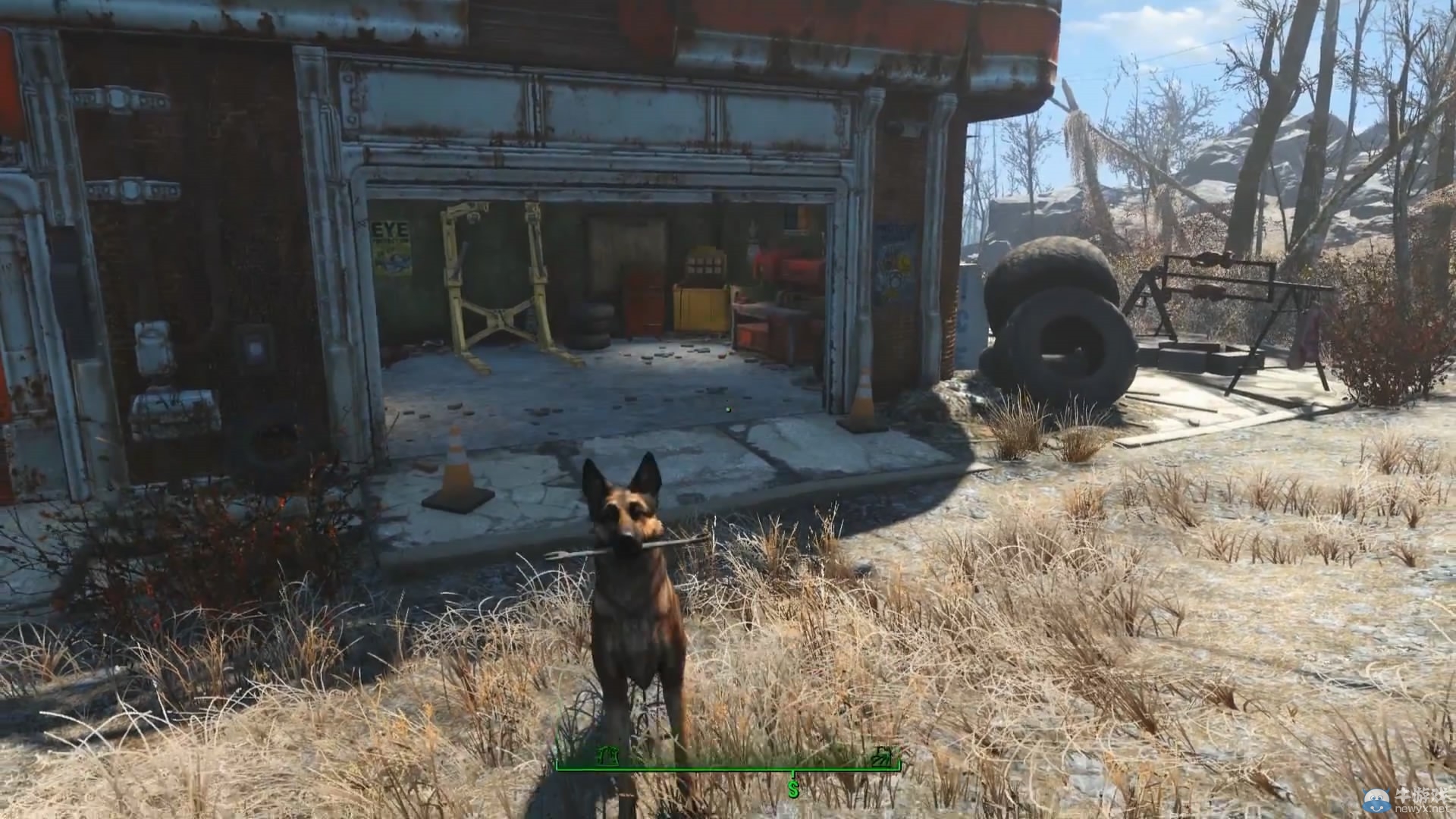 《輻射4》狗狗演員真身亮相：激萌活潑惹人疼