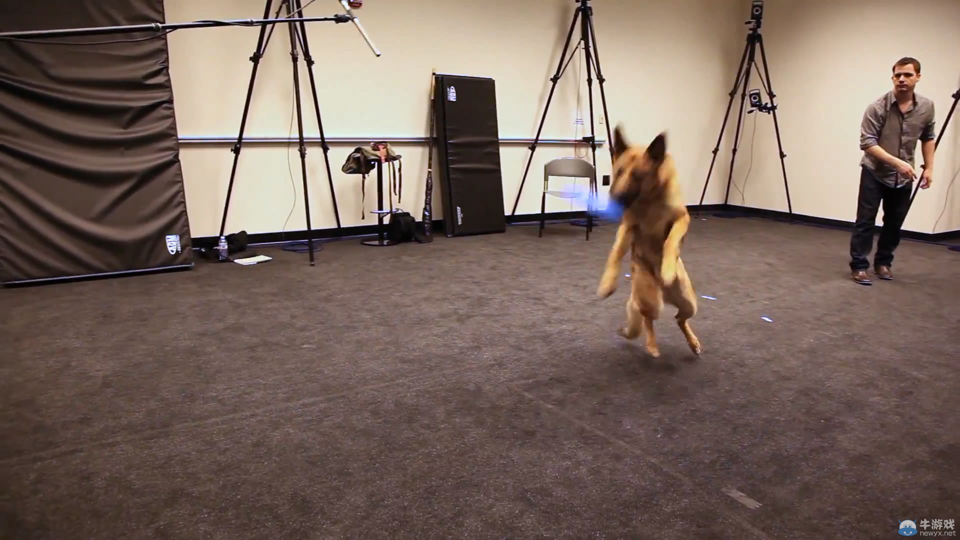 《輻射4》狗狗演員真身亮相：激萌活潑惹人疼