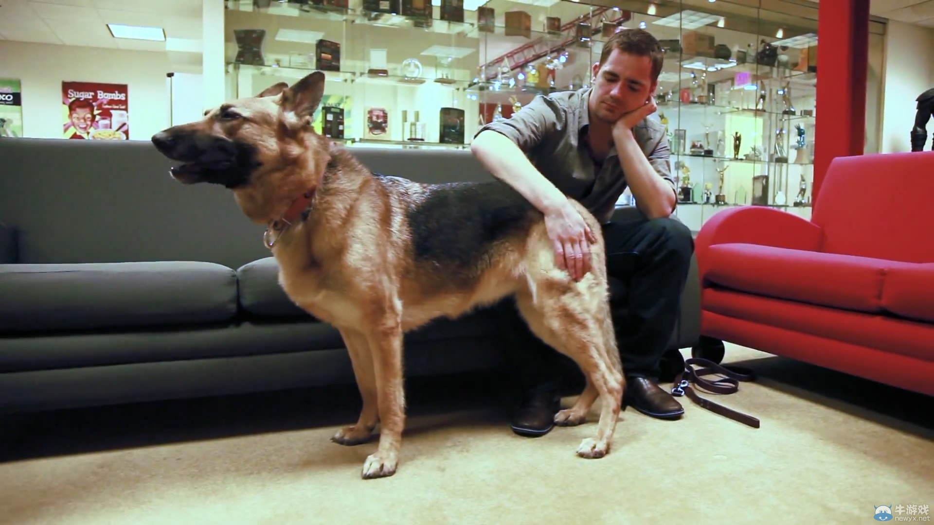 《輻射4》狗狗演員真身亮相：激萌活潑惹人疼