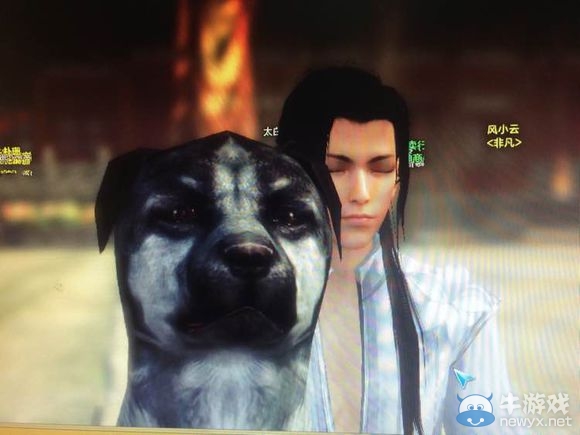 天刀囧事 我在拍賣行買了一只哈士奇