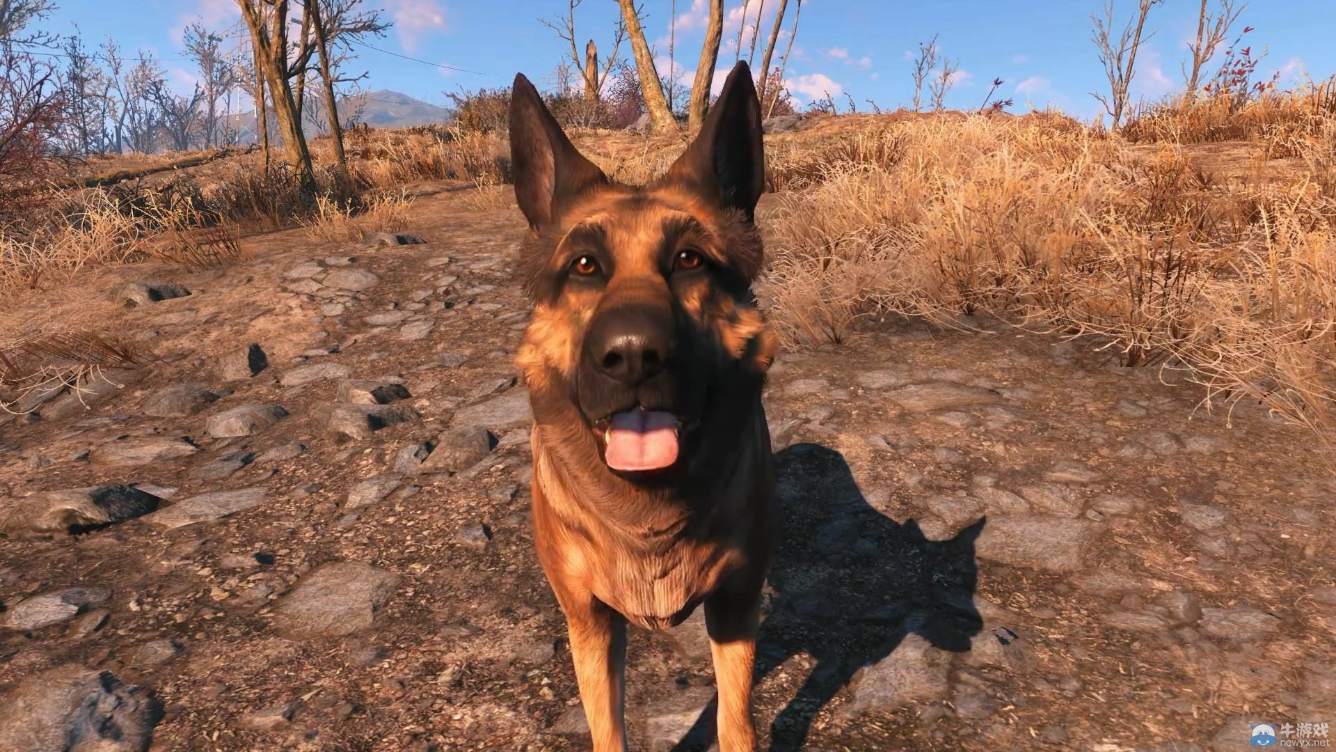 《輻射4》狗狗演員真身亮相：激萌活潑惹人疼