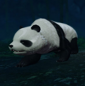 關于天諭“熊貓”時裝那不得不說的故事