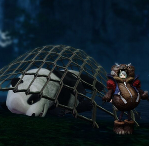 關于天諭“熊貓”時裝那不得不說的故事