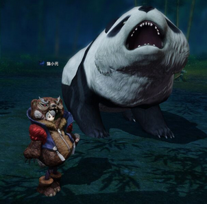 關于天諭“熊貓”時裝那不得不說的故事