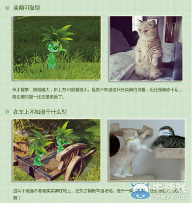 天諭幽默圖集 論草精們的N個逗逼姿勢