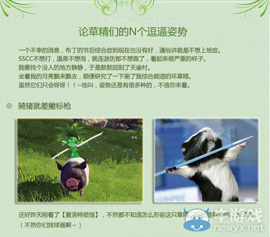 天諭幽默圖集 論草精們的N個逗逼姿勢