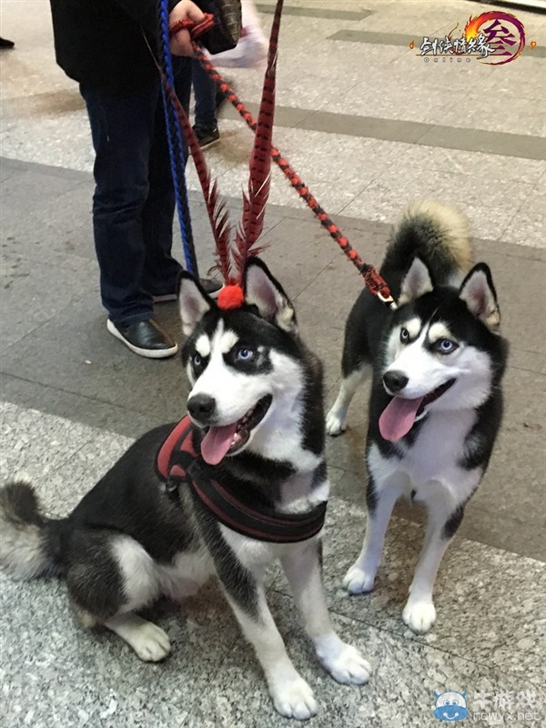 劍網(wǎng)3俠客行現(xiàn)場 天策大軍現(xiàn)身上海市中心