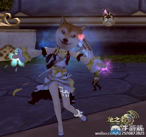 《龍之谷》被玩壞的單身汪頭飾搞笑圖片