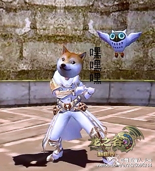 《龍之谷》被玩壞的單身汪頭飾搞笑圖片