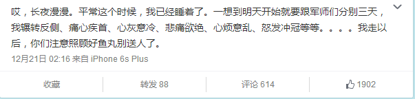 《爐石傳說》摸腿成就姻緣狗板終成眷屬