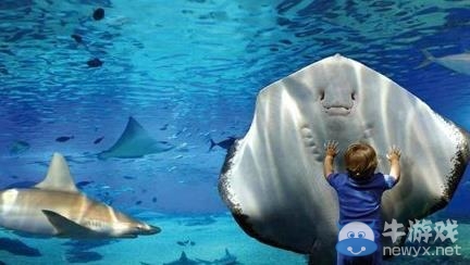 最不可思議的40個自然界景觀 每一個都讓你驚掉下巴