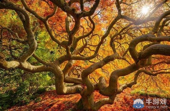 最不可思議的40個自然界景觀 每一個都讓你驚掉下巴
