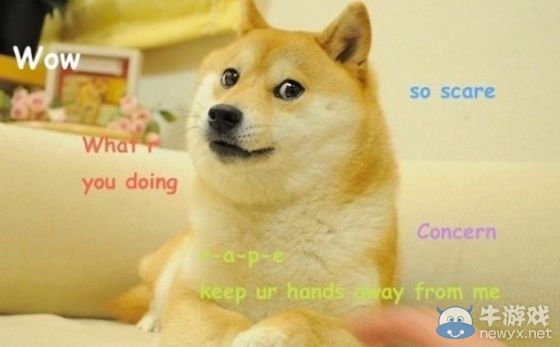 劍靈Doge入侵？日服兩周年武器及寵物一覽