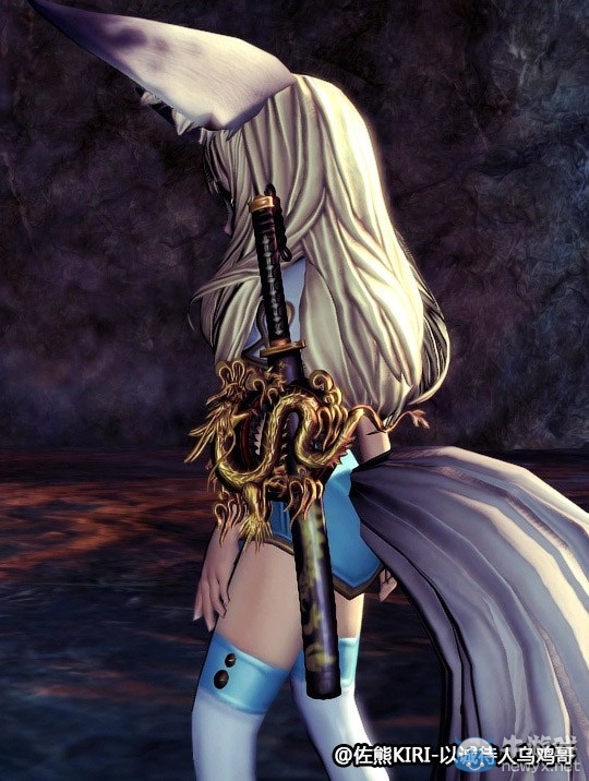 劍靈Doge入侵？日服兩周年武器及寵物一覽