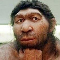 《孤島驚魂：原始?xì)⒙尽啡笪拿鹘颐靥降?外國人做游戲用心做