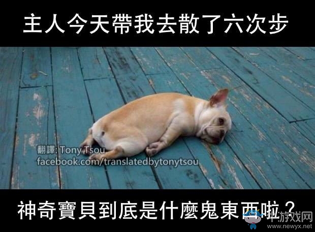 臺灣殯儀館：因《口袋妖怪：GO》意外身亡 喪葬費打折