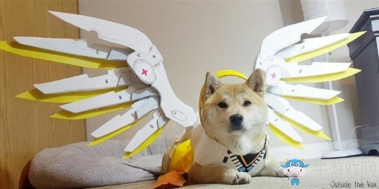 柴犬COS《守望先鋒》成網紅：氣質到位無違和