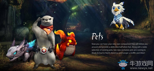 劍靈國服新增小寵物圖標 竟是國家級保護動物