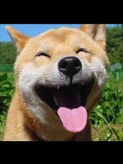 《爐石傳說》爐石圈的恩怨情仇