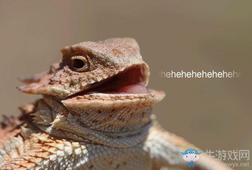 《魔獸世界》蜥蜴小組成員被捕